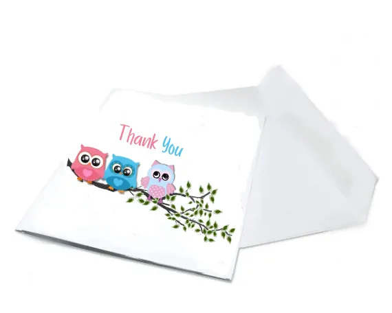 Baby Shower Thank you Owl printable